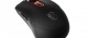 MSI Interceptor DS100 GAMING Mouse