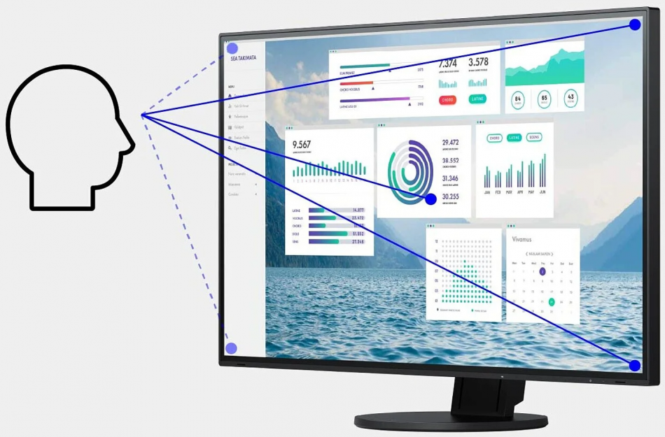 Flexscan Ev2451 Ips