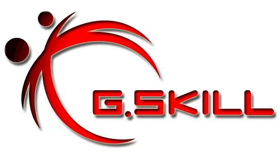 G Skill Logo