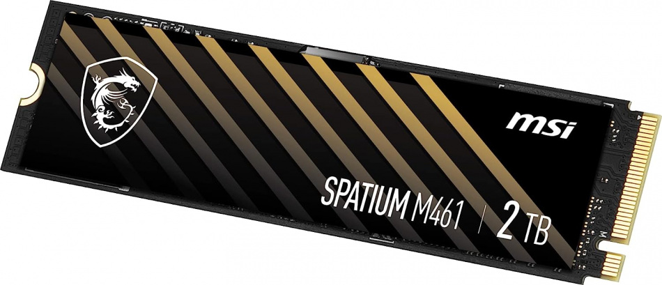Spatium M461 1tb 2