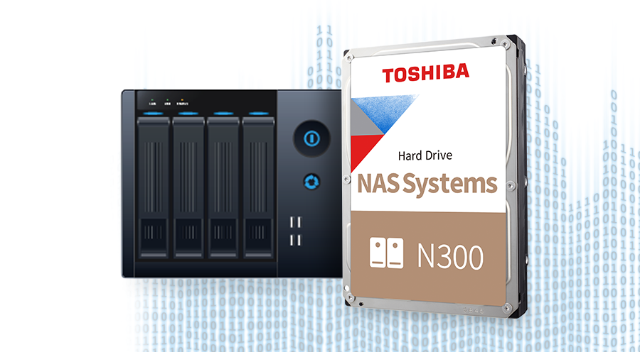 Toshiba Internal Hard Drive N300 Nas