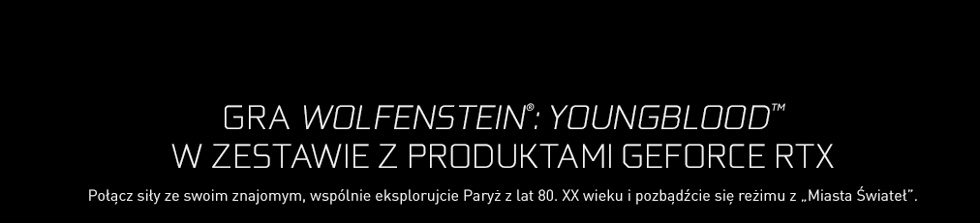 V11000050 Geforce Wolfenstein Yb Partner Lp Black V1 Pl