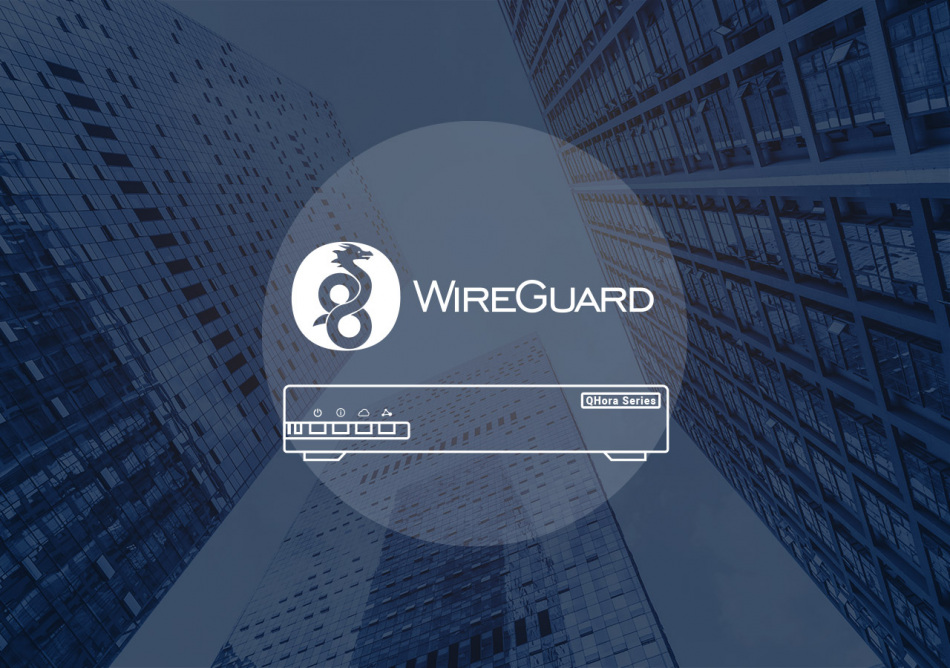 Wireguard Qhora9999