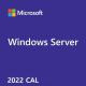 MS 1x Windows Svr CAL 2022 1pk DSP (PL)