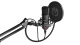 Mikrofon Endorfy Solum EY1B001