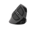 Mysz bezprzewodowa wertykalna Natec Euphonie OLED 2400DPI Bluetooth 5.0 czarna (NMY-1601)